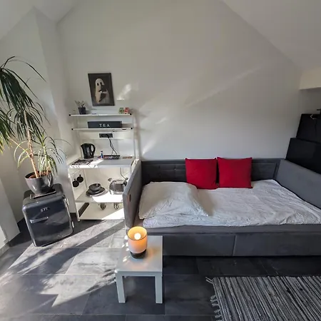 ölberg Im Siebengebirge Königswinter